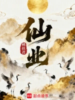 星河舰队小说封面