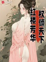 星河舰队小说封面