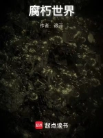 星河舰队小说封面